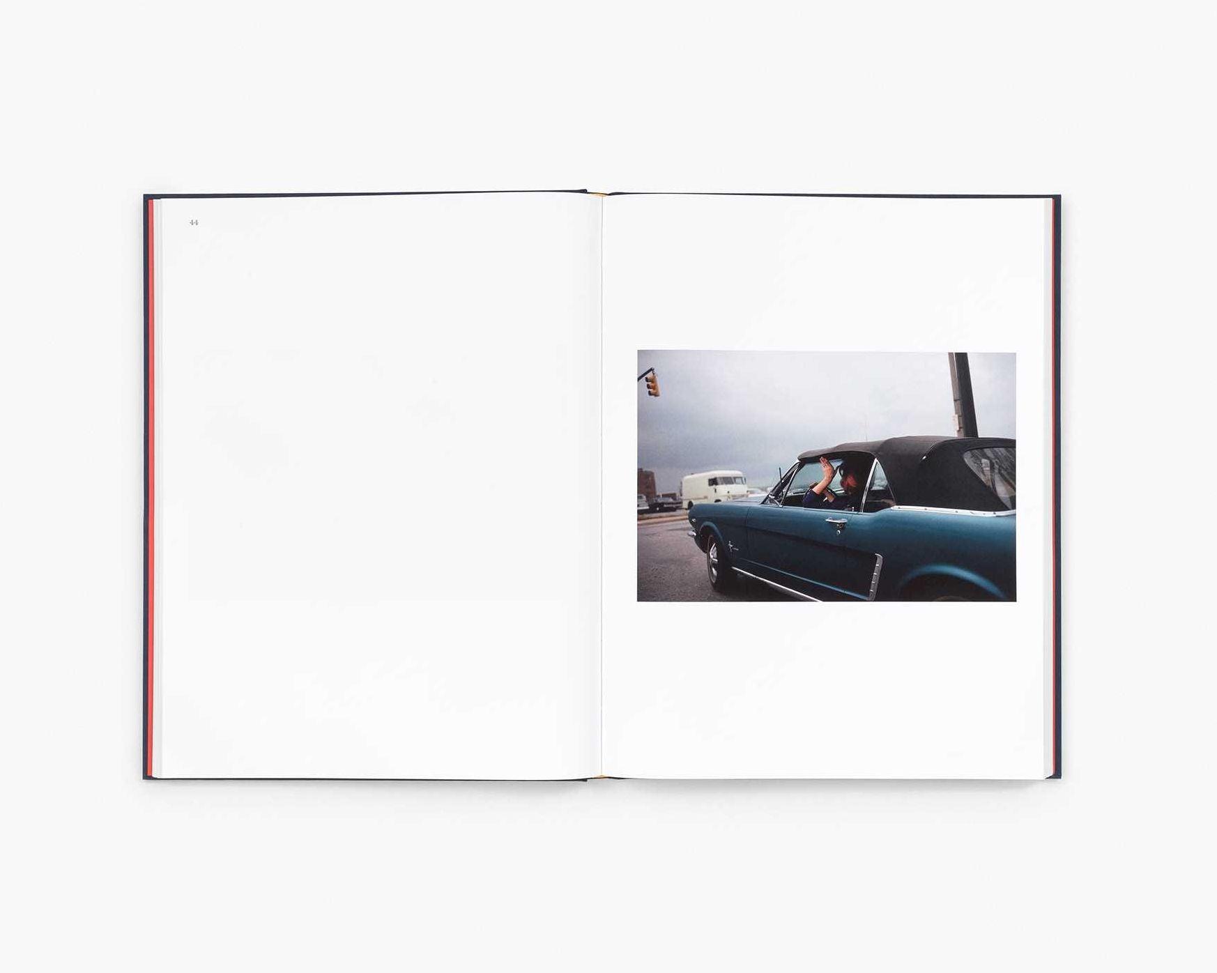 William Eggleston: The Last Dyes