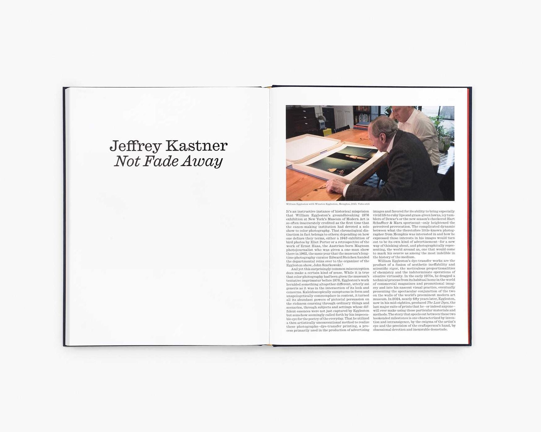 William Eggleston: The Last Dyes