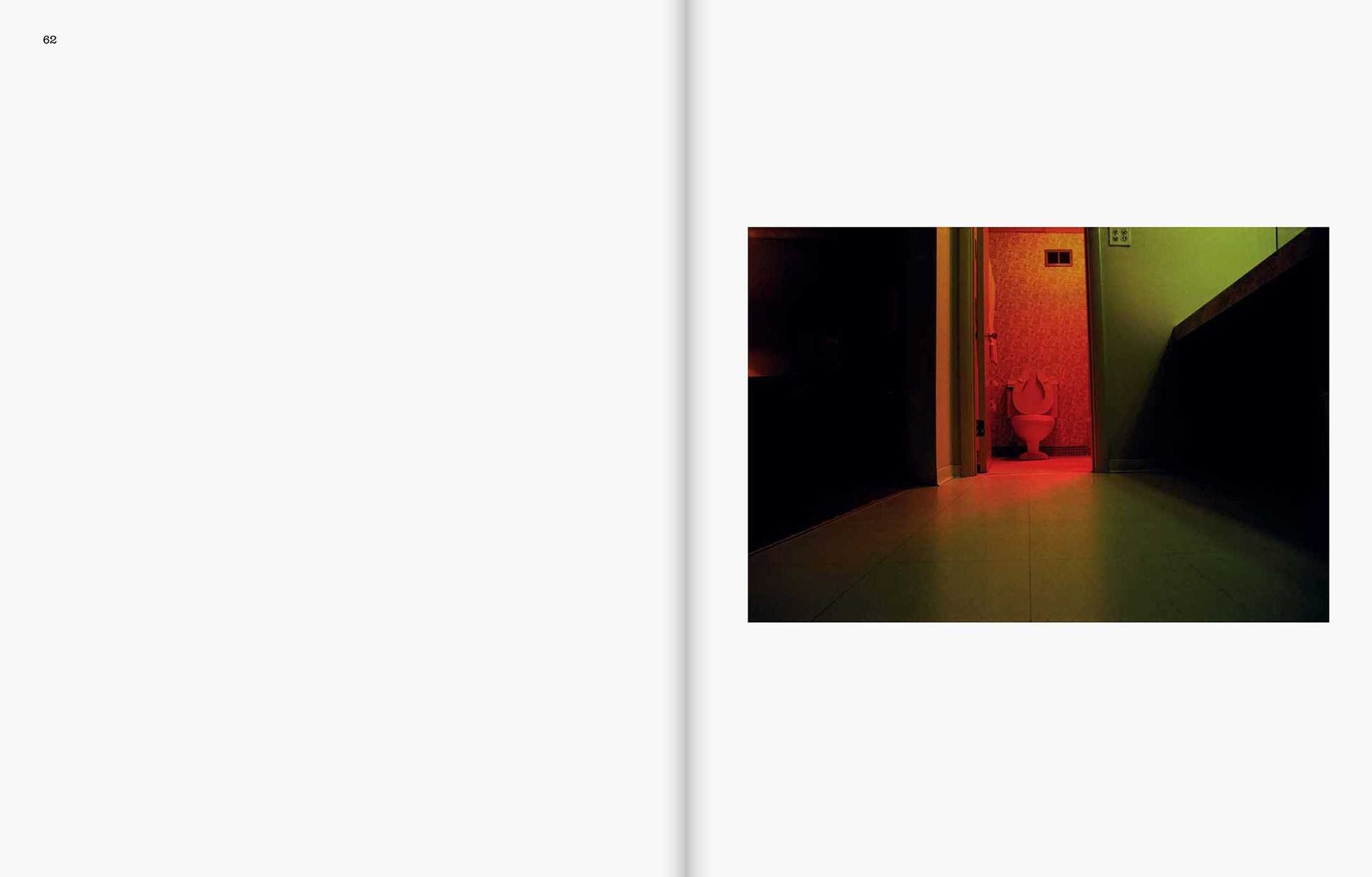 William Eggleston: The Last Dyes