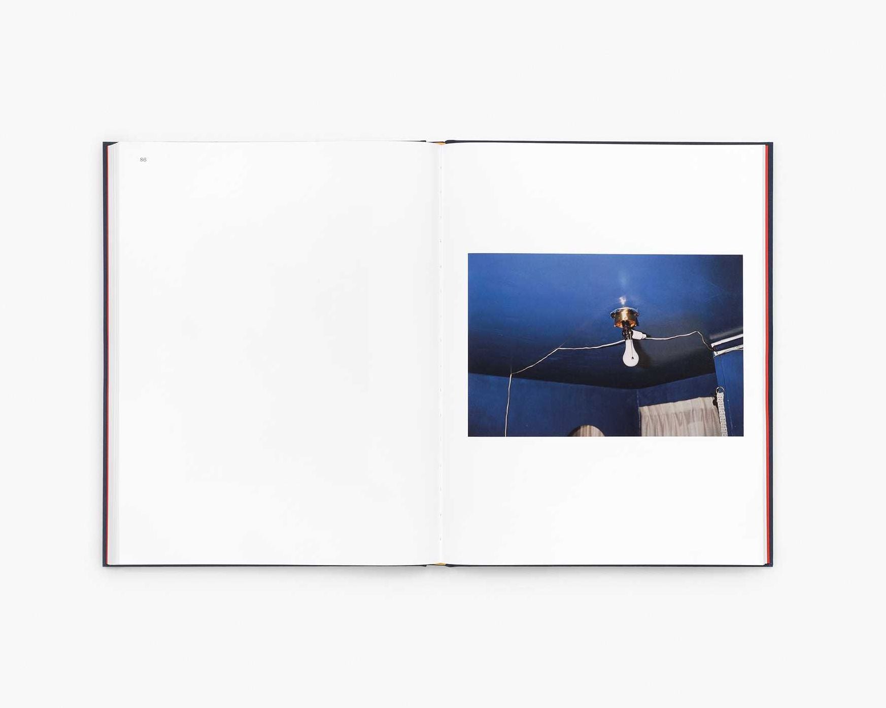 William Eggleston: The Last Dyes