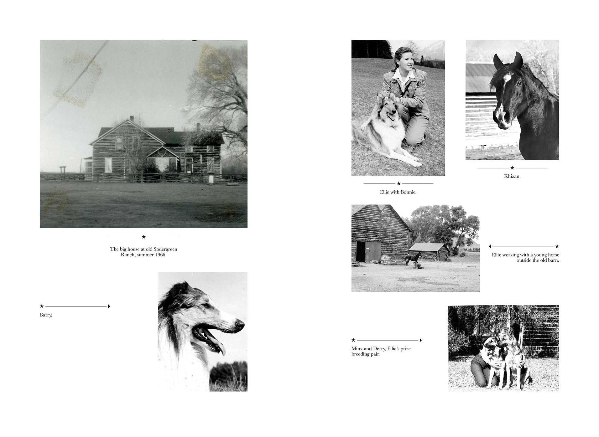In the Scent of Horses, Hay, and Old Barns: The Story of Eleanor Prince, Intrepid American Horsemanship Educator