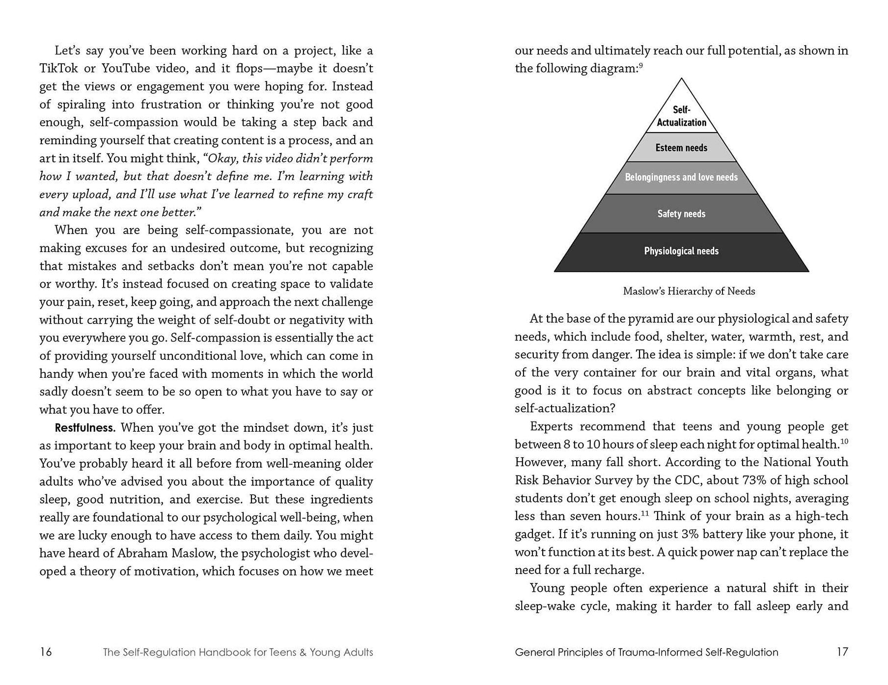 The Self-Regulation Handbook for Teens and Young Adults: A Trauma-Informed Guide to Fostering Personal Resilience and Enhancing Interpersonal Skills