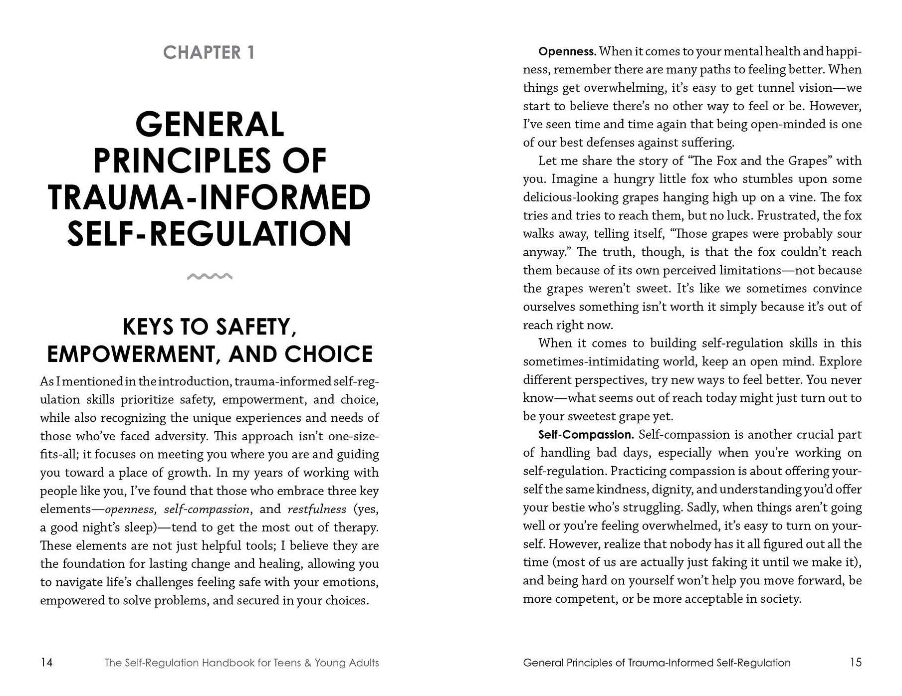 The Self-Regulation Handbook for Teens and Young Adults: A Trauma-Informed Guide to Fostering Personal Resilience and Enhancing Interpersonal Skills