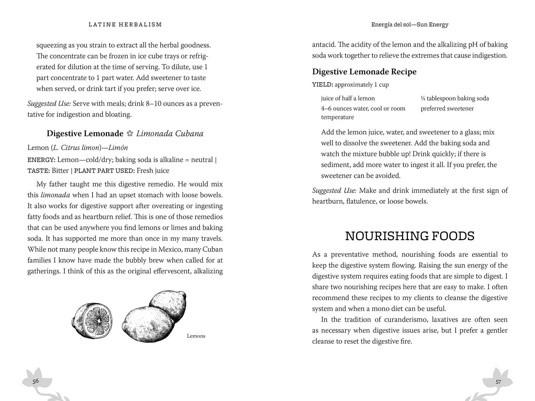 Latine Herbalism: A Beginner's Guide to Modern Curanderismo, Healing Plants, and Folk Traditions of the Americas