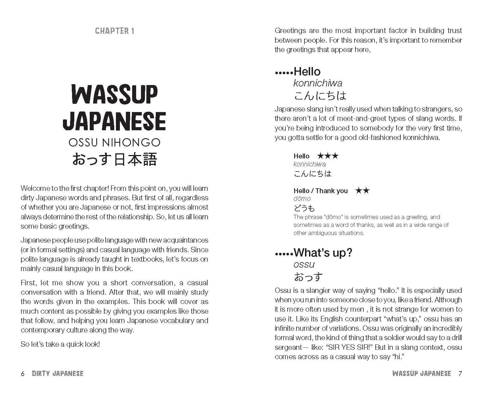 Dirty Japanese, Second Edition: Power Up Your Conversation with Casual Slang and Onomatopoeia Phrases to Use with Friends, Enemies, Lovers, and More