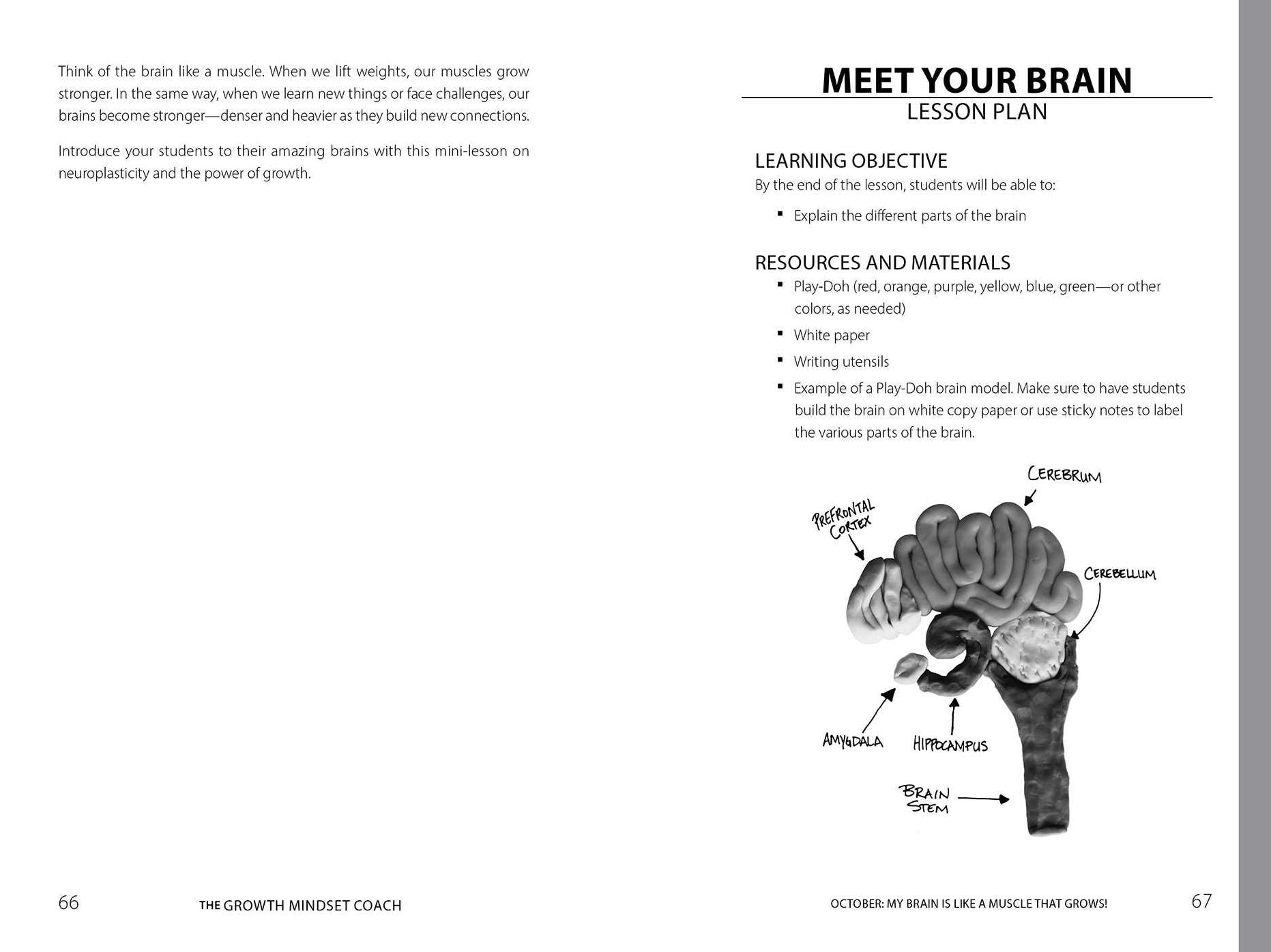 The Growth Mindset Coach, Second Edition: The Best-Selling Teacher's Handbook for Fostering Growth and Success (Fully Updated and Revised Month-by-Month Guide)