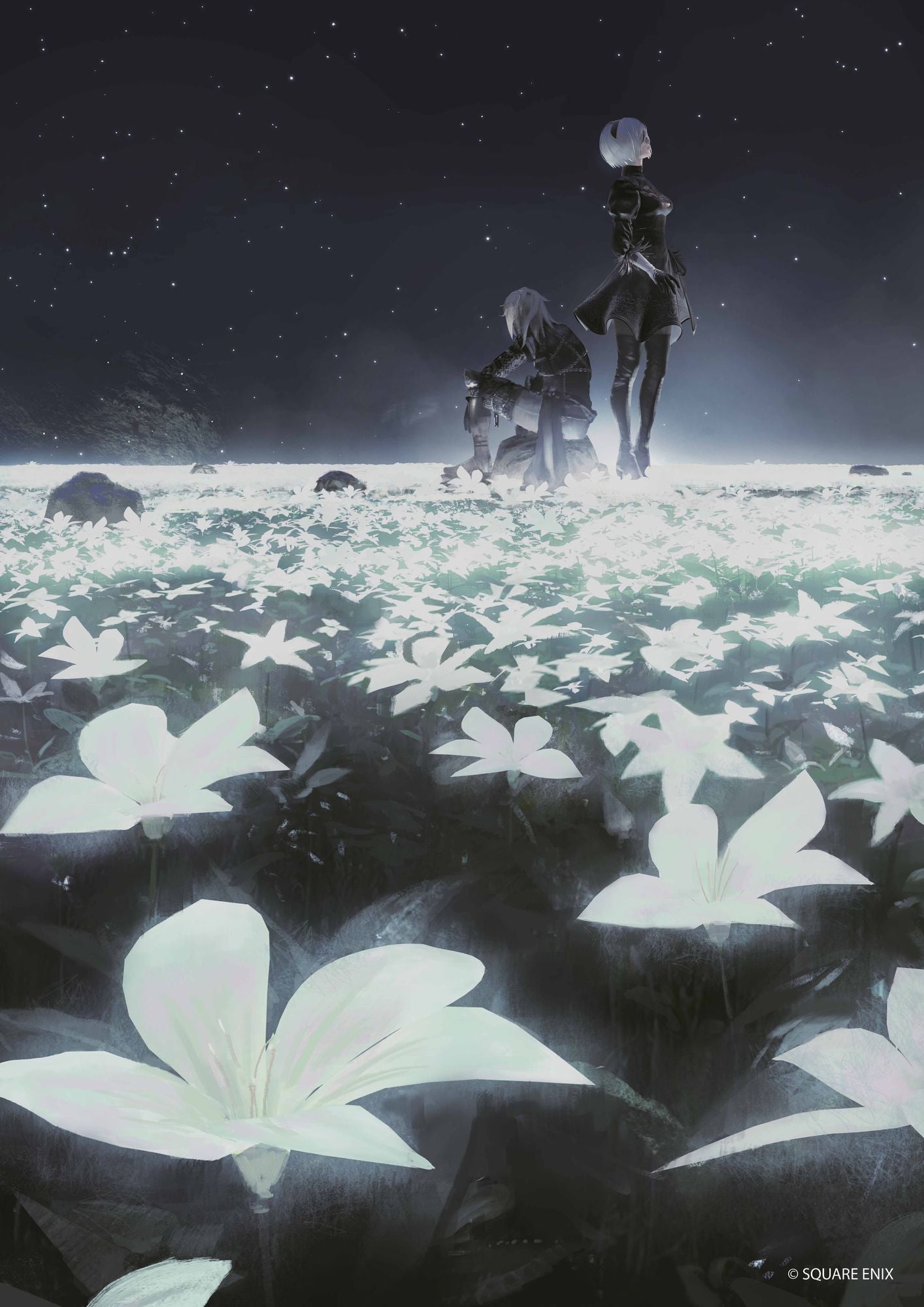 NieR Poster Collection