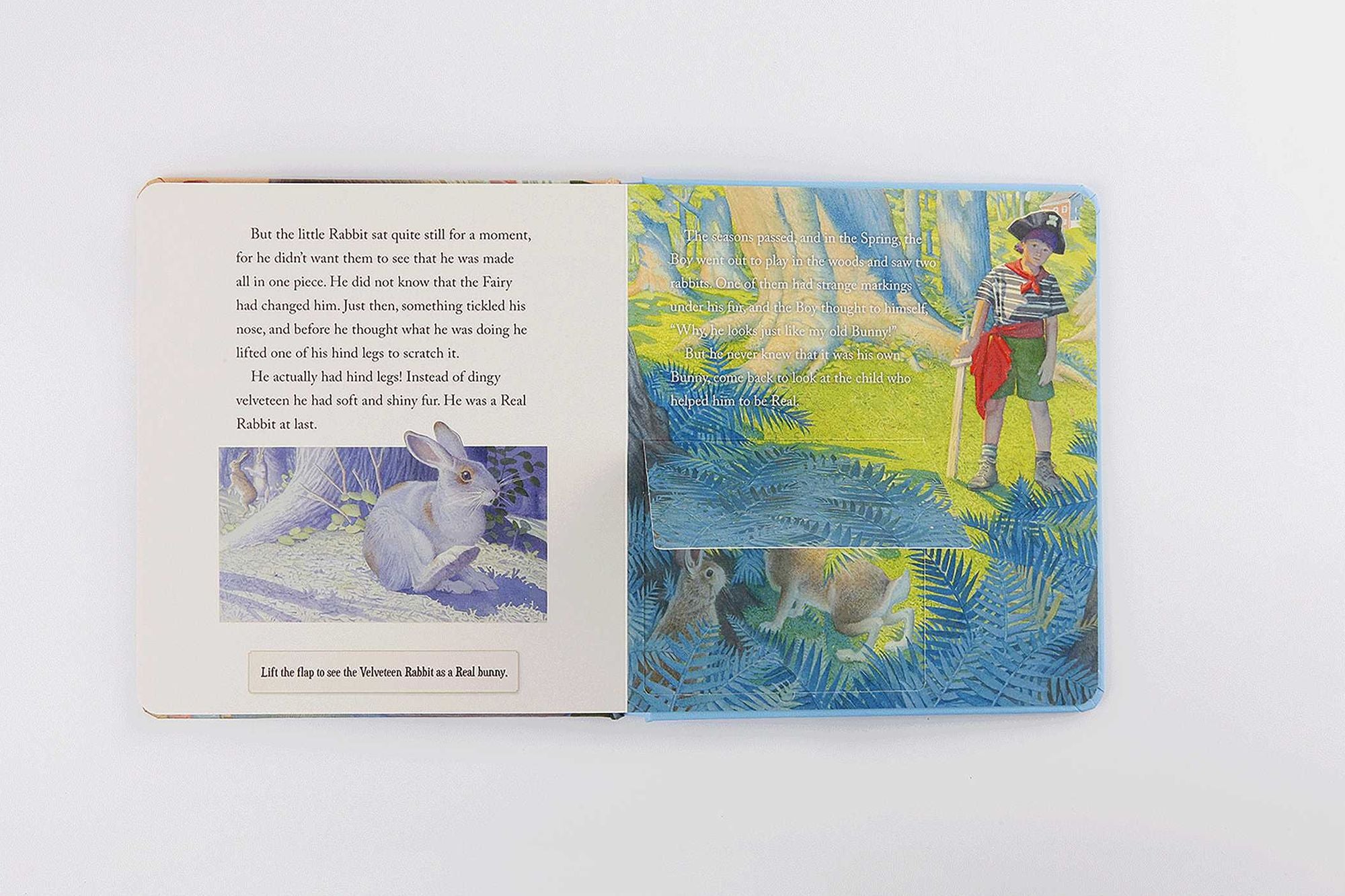 The Velveteen Rabbit Touch and Feel Board Book: The Classic Edition