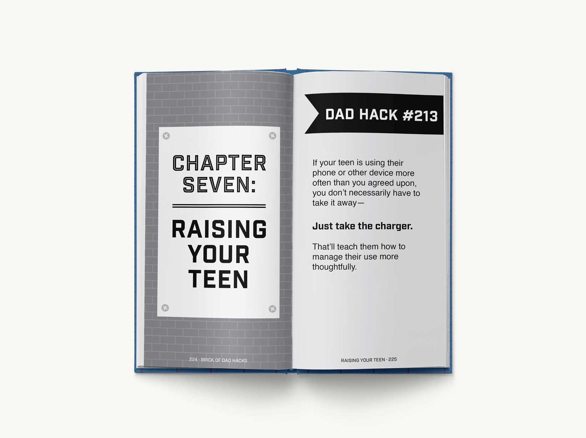 The Brick of Dad Hacks: Tips, Tricks, Shortcuts, and Dad-isms for Easy Parenting (Fatherhood, Parenting Book, Parenting Advice, New Dads)