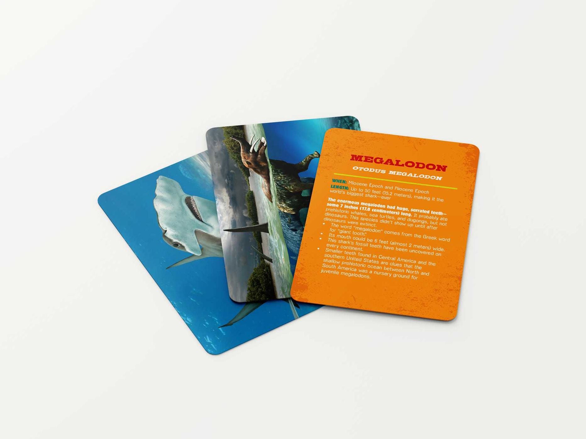Shark Flashcards: Learn Your Shark Facts Like Never Before! (Sharks, Flash Cards, Marine Biology, Science and Nature, Sharks for Kids)
