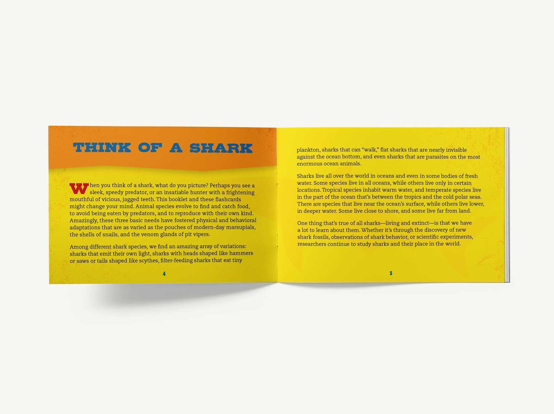Shark Flashcards: Learn Your Shark Facts Like Never Before! (Sharks, Flash Cards, Marine Biology, Science and Nature, Sharks for Kids)