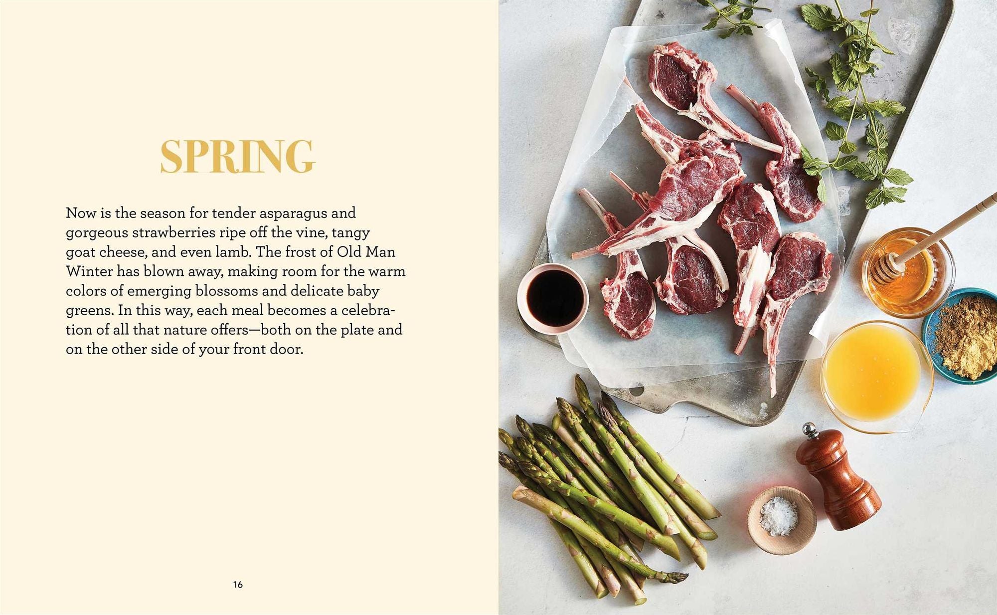 One Pot Supreme: The Complete Cookbook for Skillets, Slow Cookers, Sheet Pans, and More!