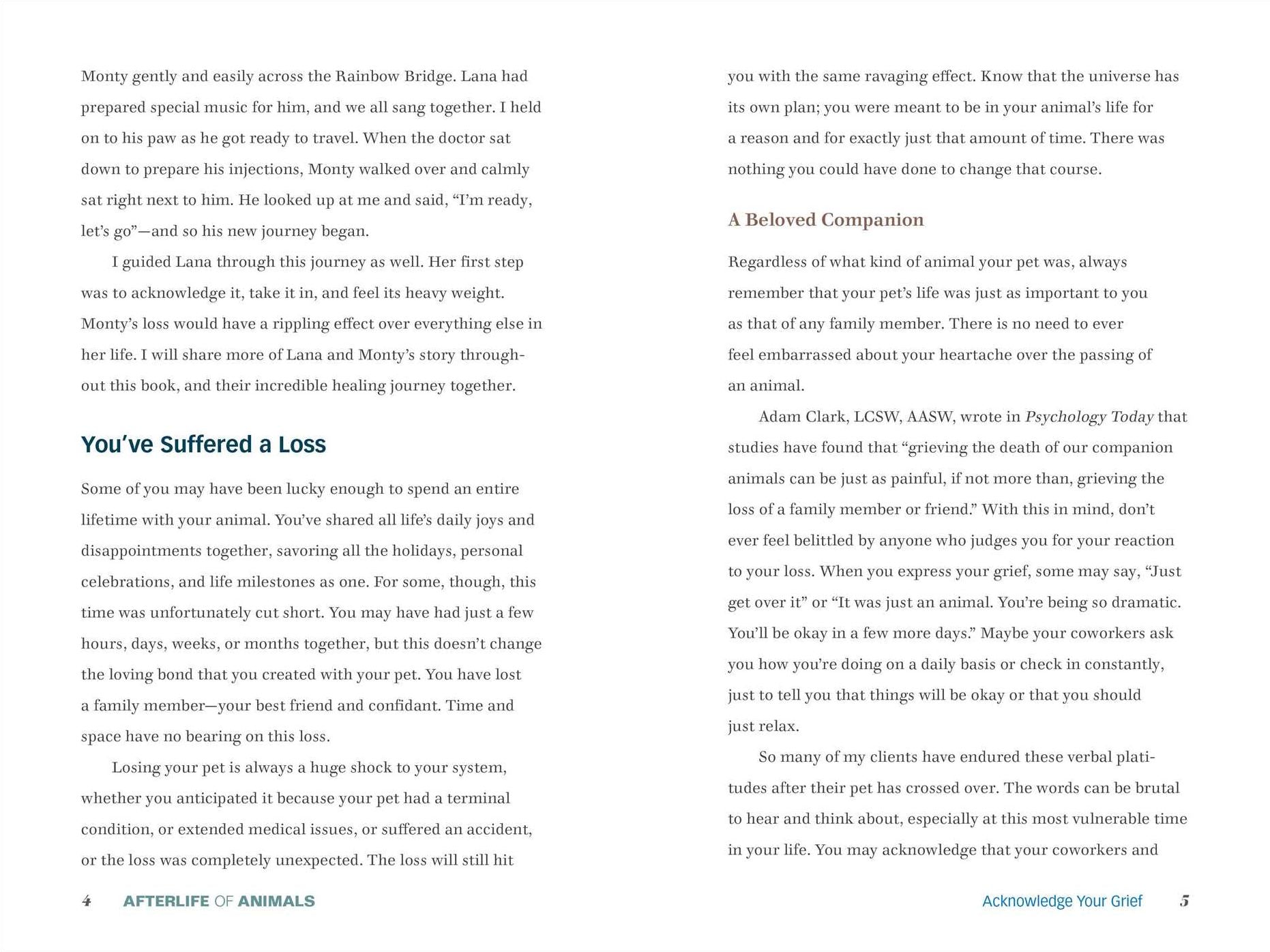Afterlife of Animals: A Guide to Healing from Loss and Communicating with Your Beloved Pet