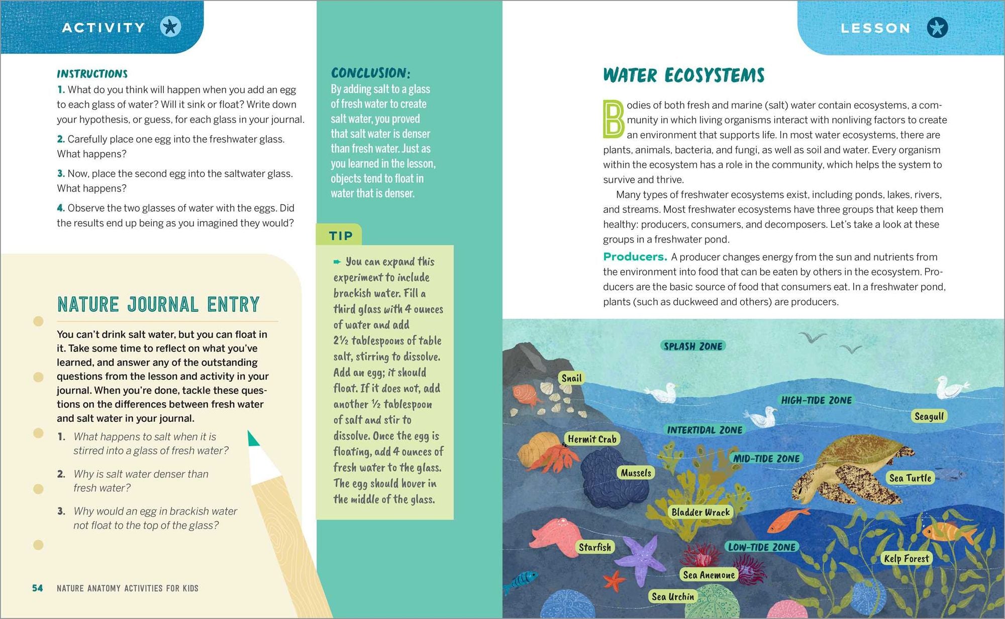 Nature Anatomy Activities for Kids: Fun, Hands-On Learning