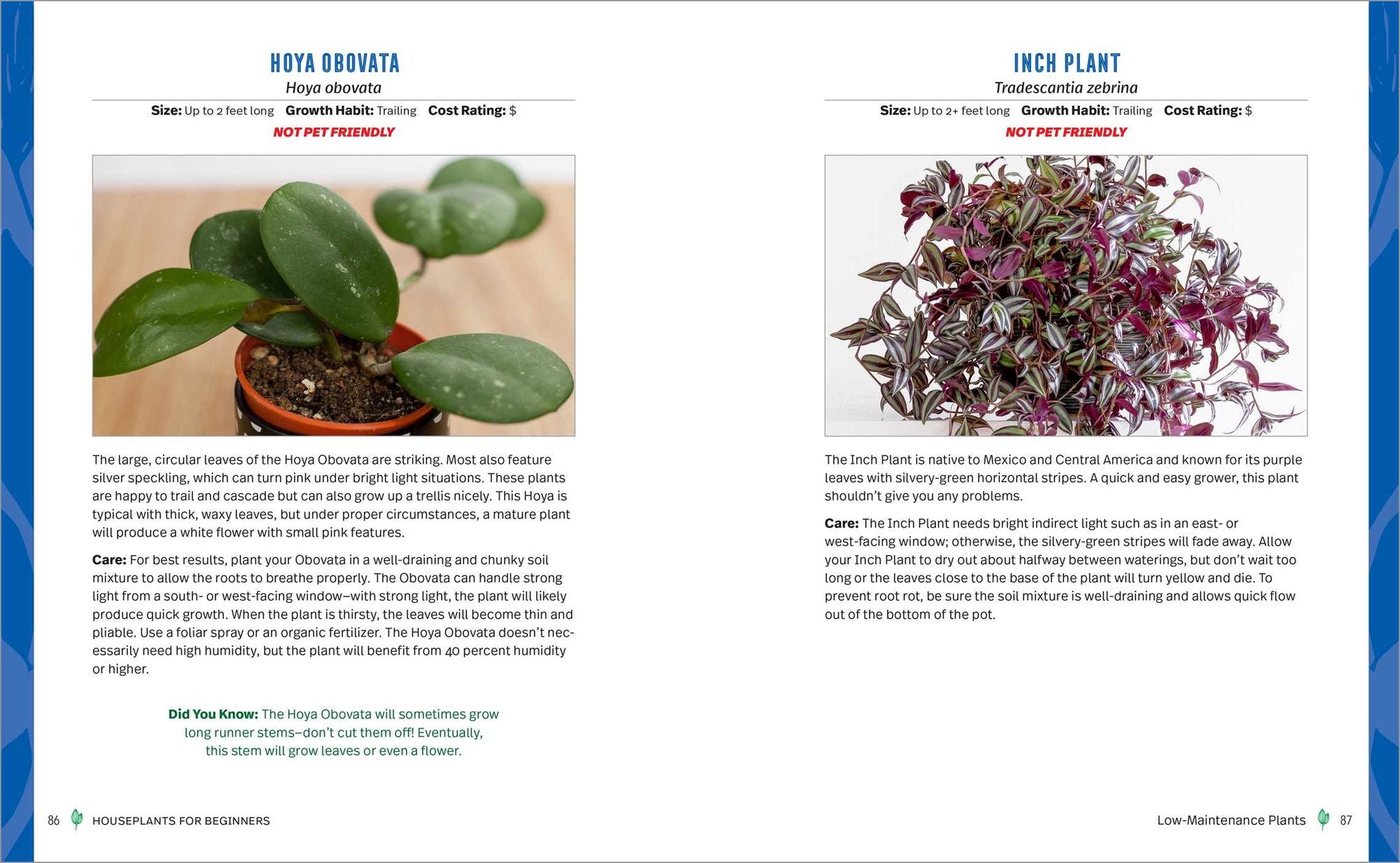 Houseplants for Beginners: A Practical Guide to Choosing, Growing, and Helping Your Plants Thrive