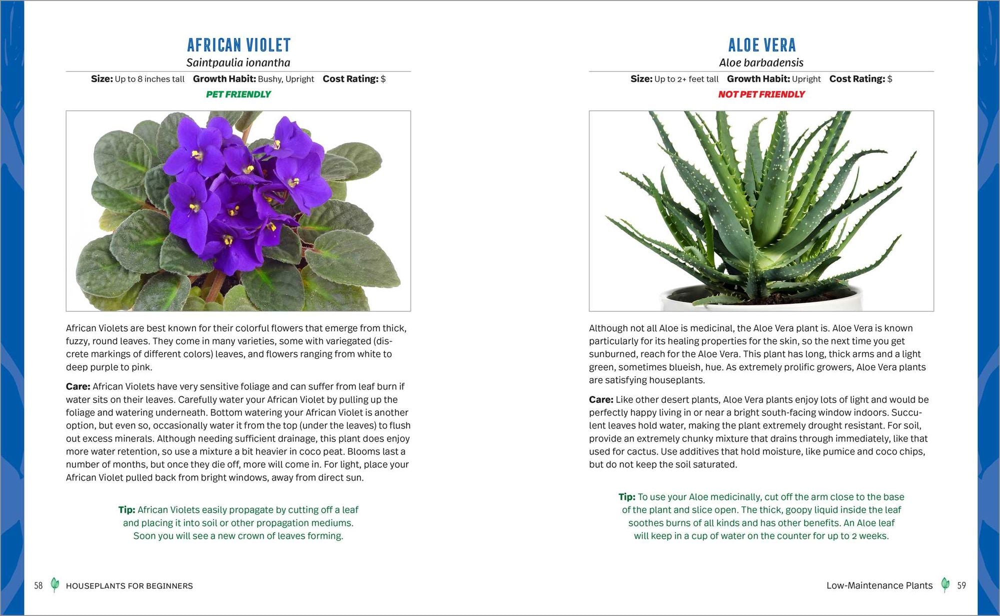Houseplants for Beginners: A Practical Guide to Choosing, Growing, and Helping Your Plants Thrive