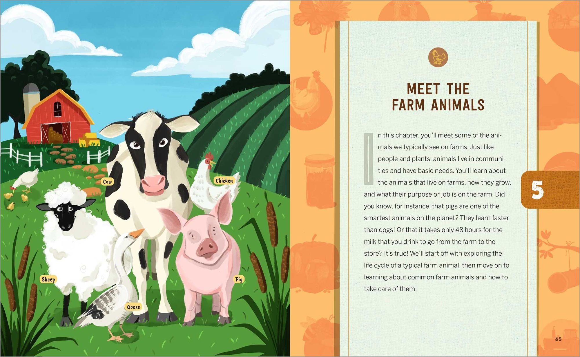 Farm Anatomy Activities for Kids: Fun, Hands-On Learning