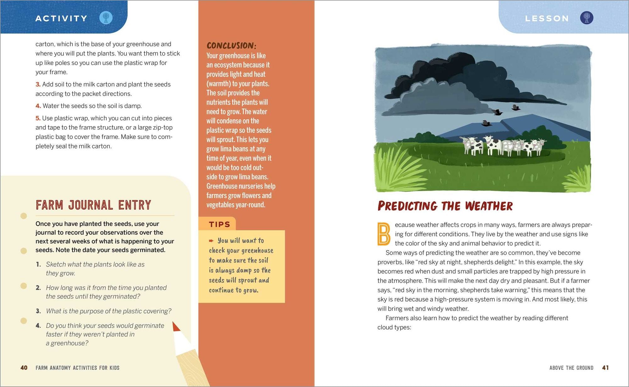 Farm Anatomy Activities for Kids: Fun, Hands-On Learning