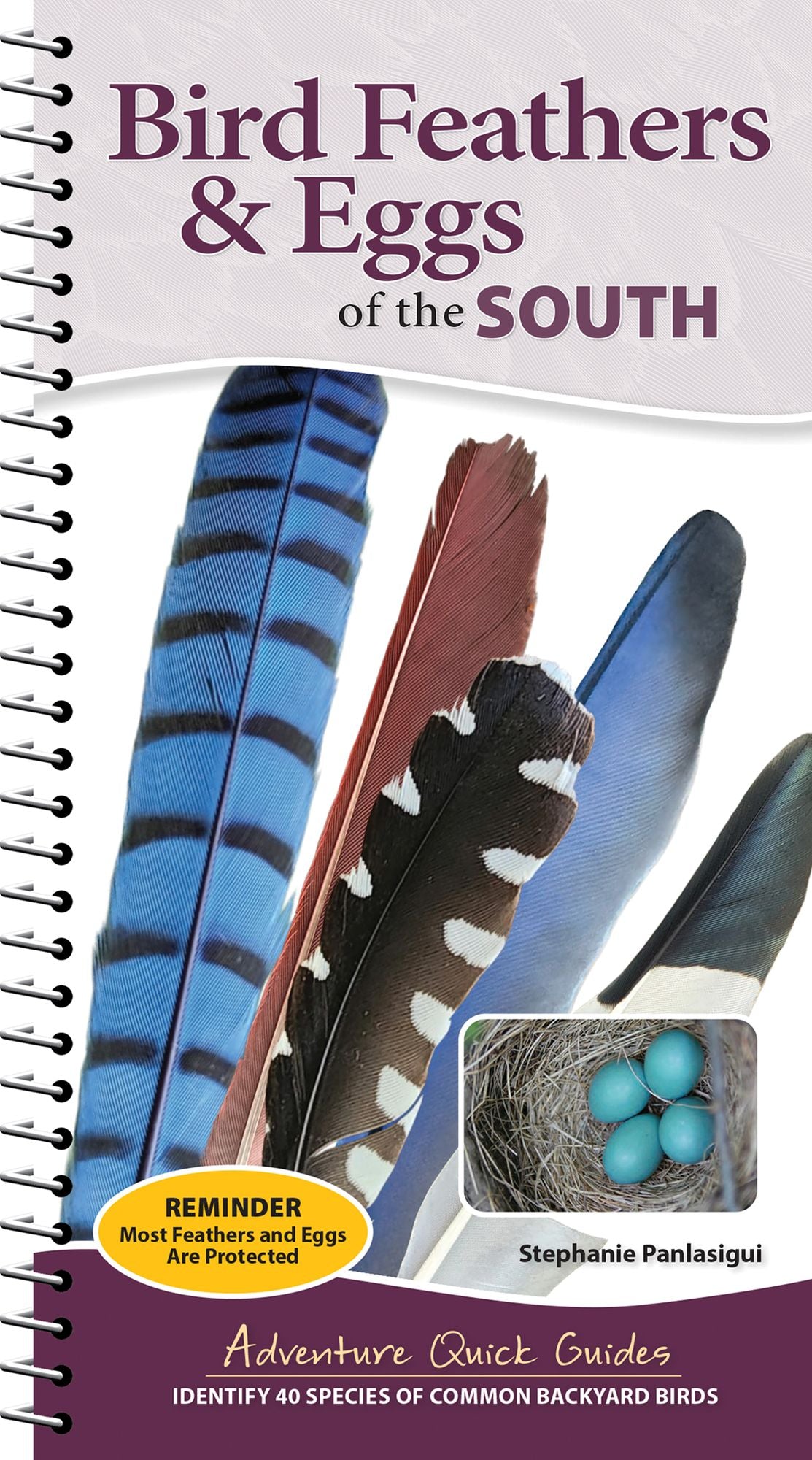 Bird Feathers & Eggs of the South: Identify 40 Species of Common Backyard Birds