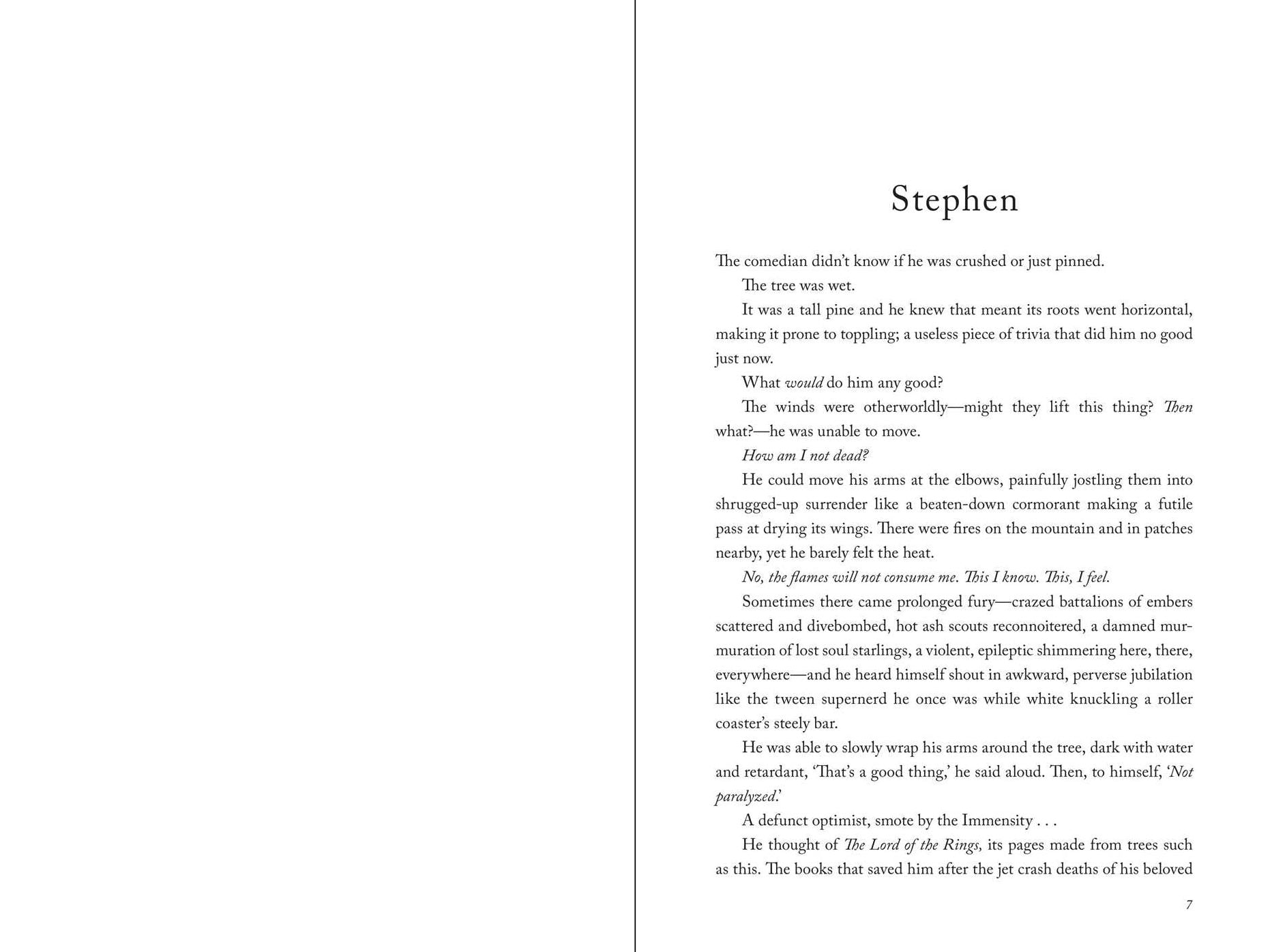 Amputation: A Novel