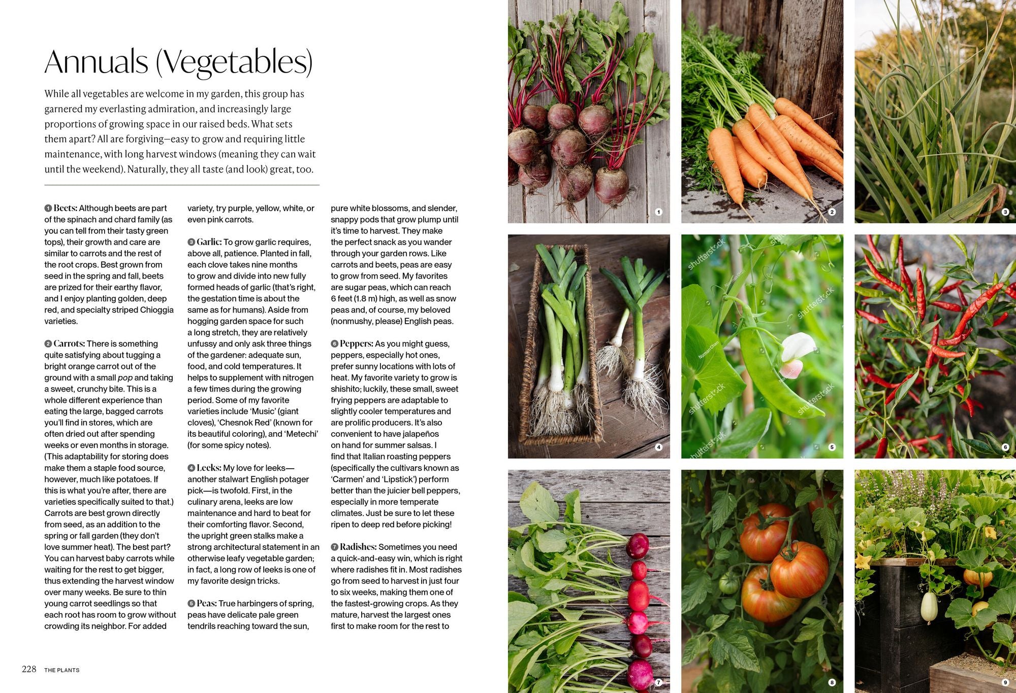 The Food Forward Garden: A Complete Guide to Designing and Growing Edible Landscapes