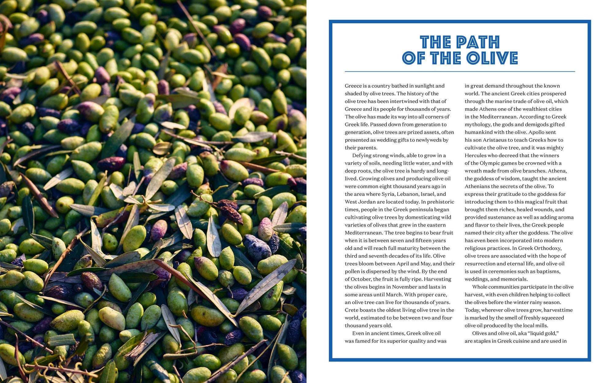 Yassou: The Simple, Seasonal Mediterranean Cooking of Greece