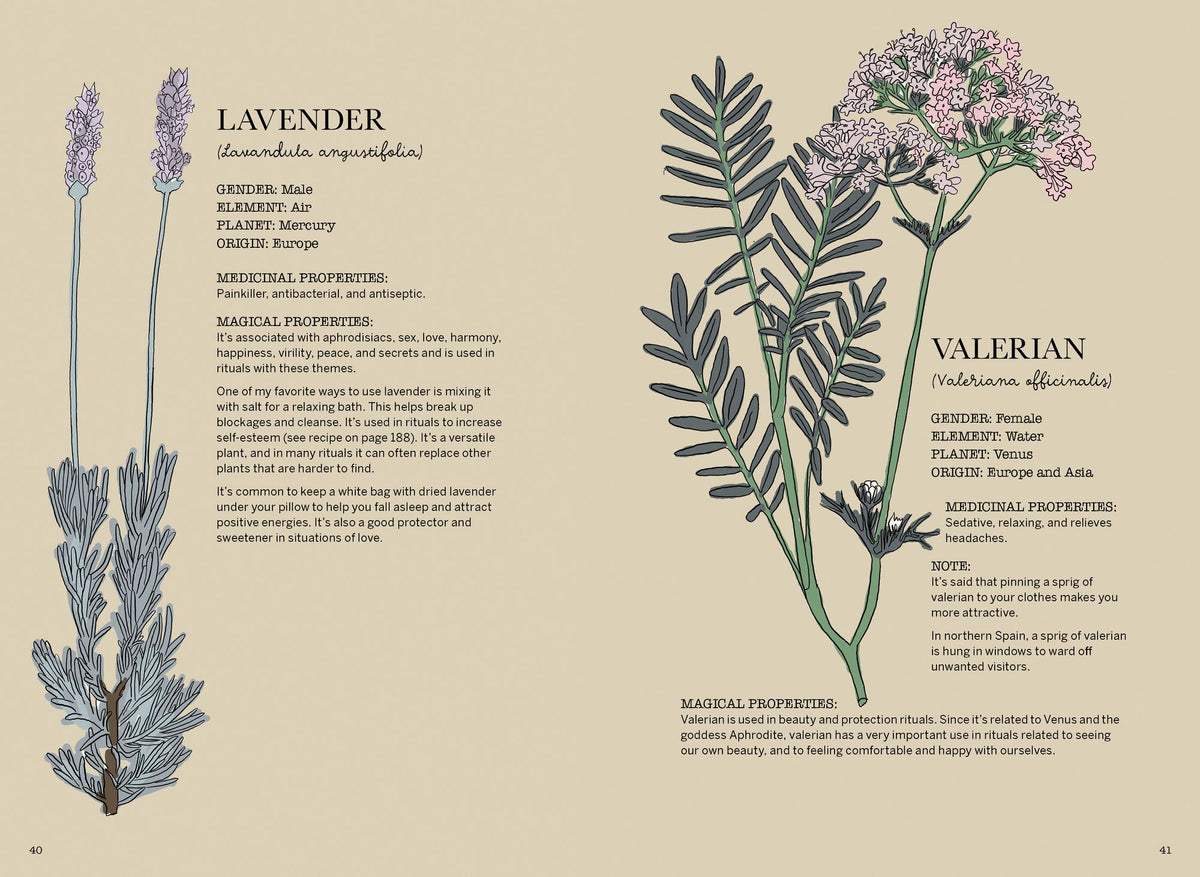 Magicka: Finding Spiritual Guidance Through Plants, Herbs, Crystals, and More