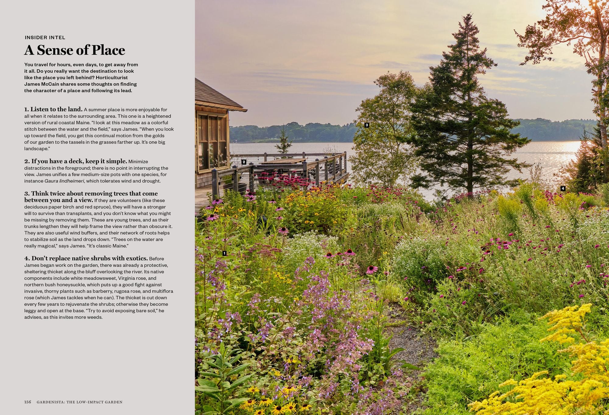Gardenista: The Low-Impact Garden: A Guide to Creating Sustainable Outdoor Spaces