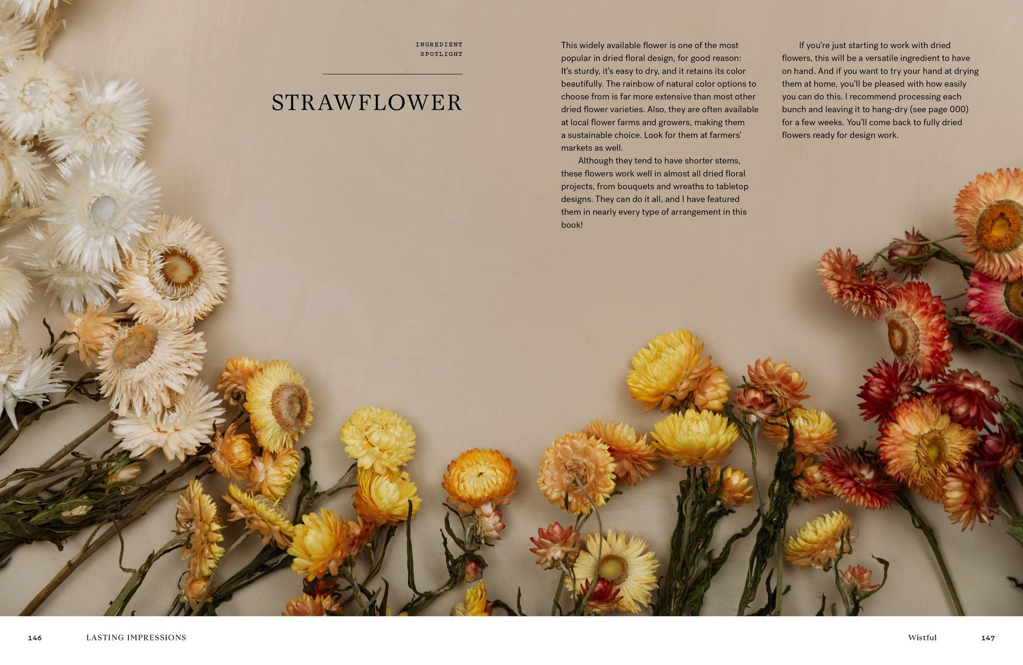 Lasting Impressions: A Guide to Dried Floral Design Featuring More Than 50 Arrangements