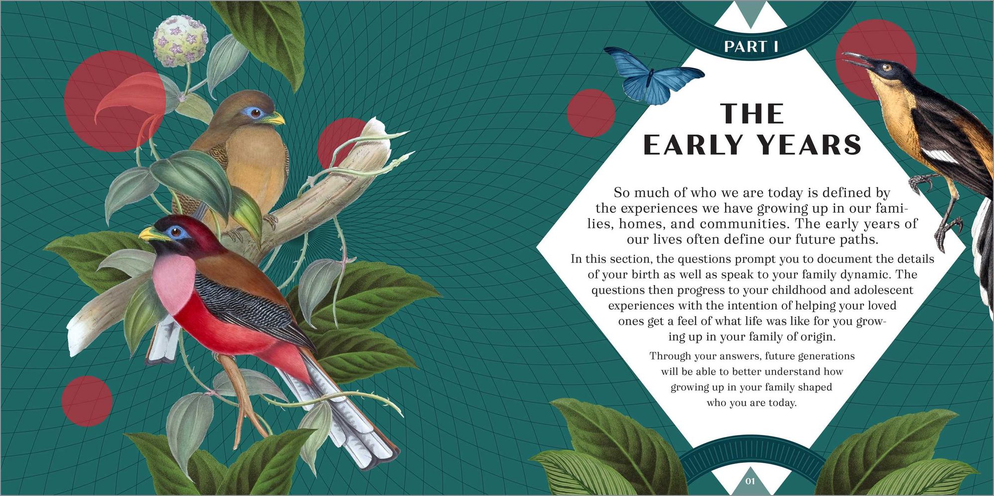 100 Questions for Mom: A Journal to Inspire Reflection and Connection