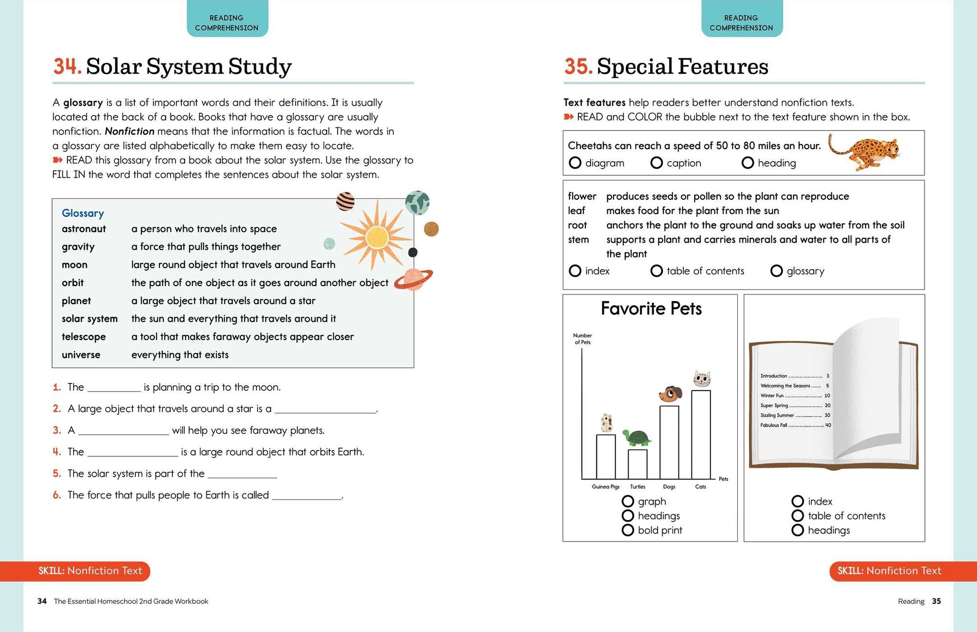 The Essential Homeschool 2nd Grade Workbook: 135 Fun Curriculum-Based Exercises to Build Skills in Reading, Writing, and Math