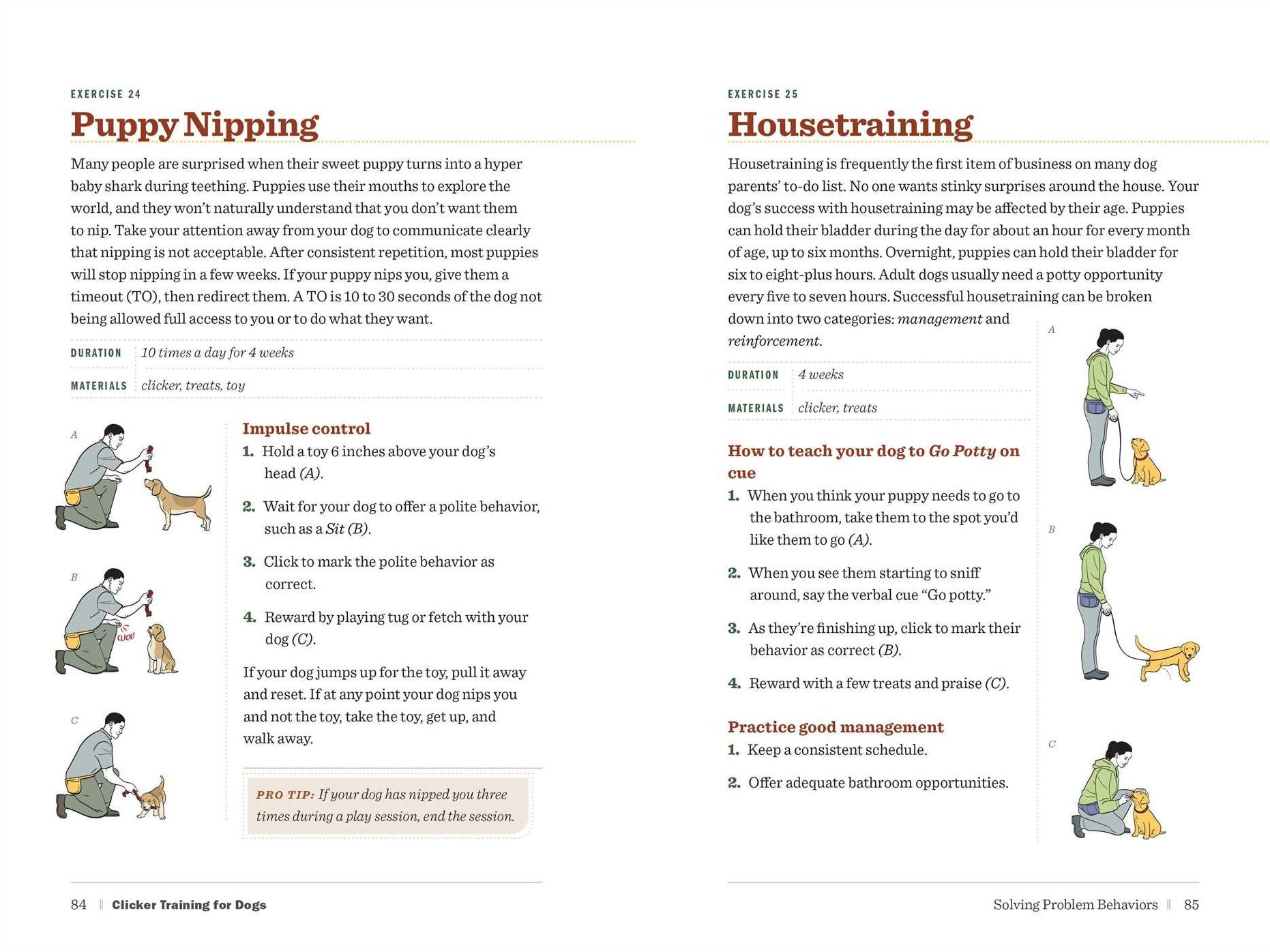 Clicker Training for Dogs: Master Basic Training, Common Cues, and Fun Tricks in 15 Minutes a Day