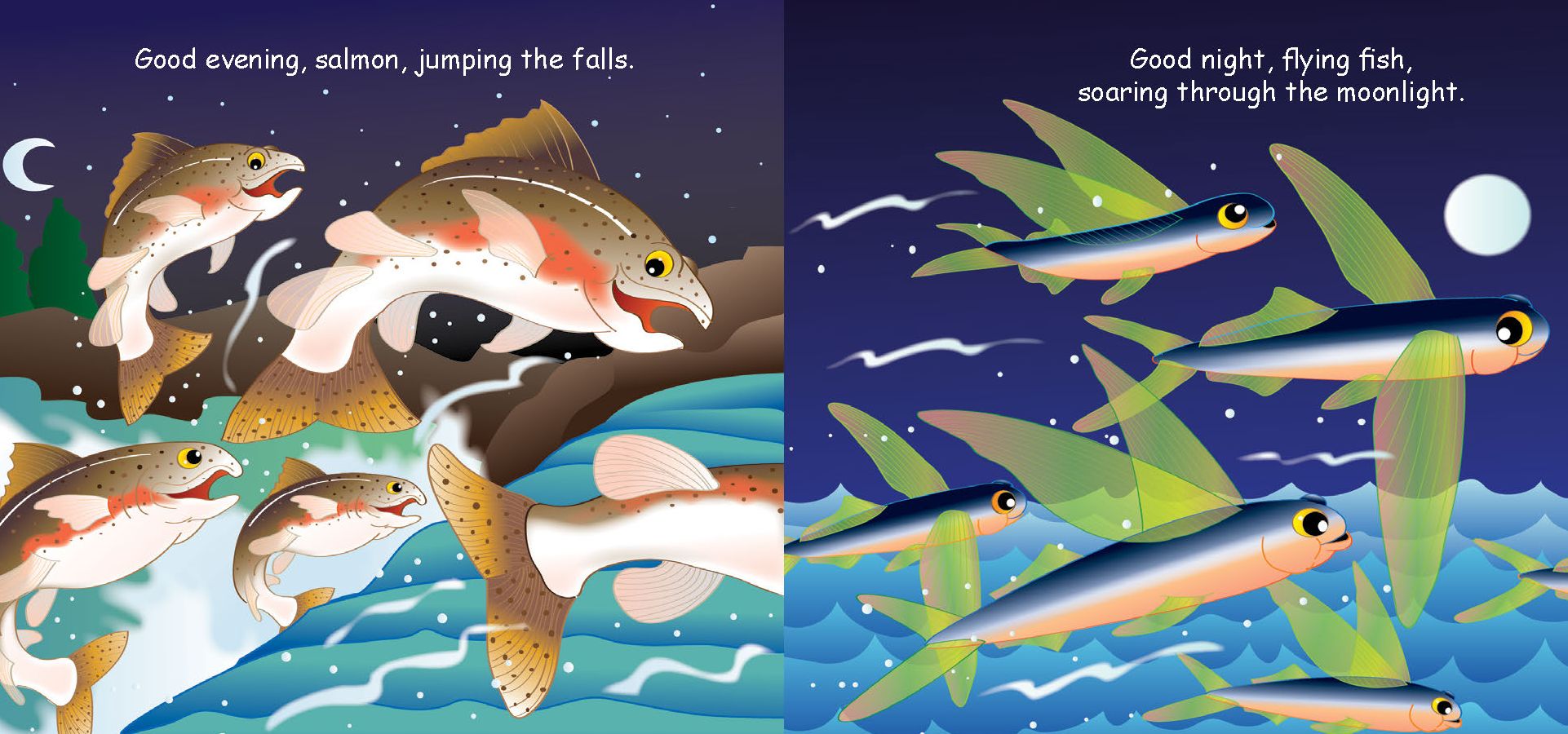 Bath Time Fish