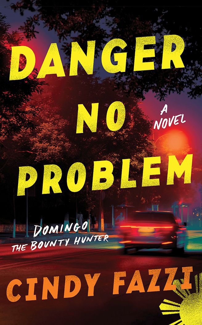 Danger No Problem: A Novel