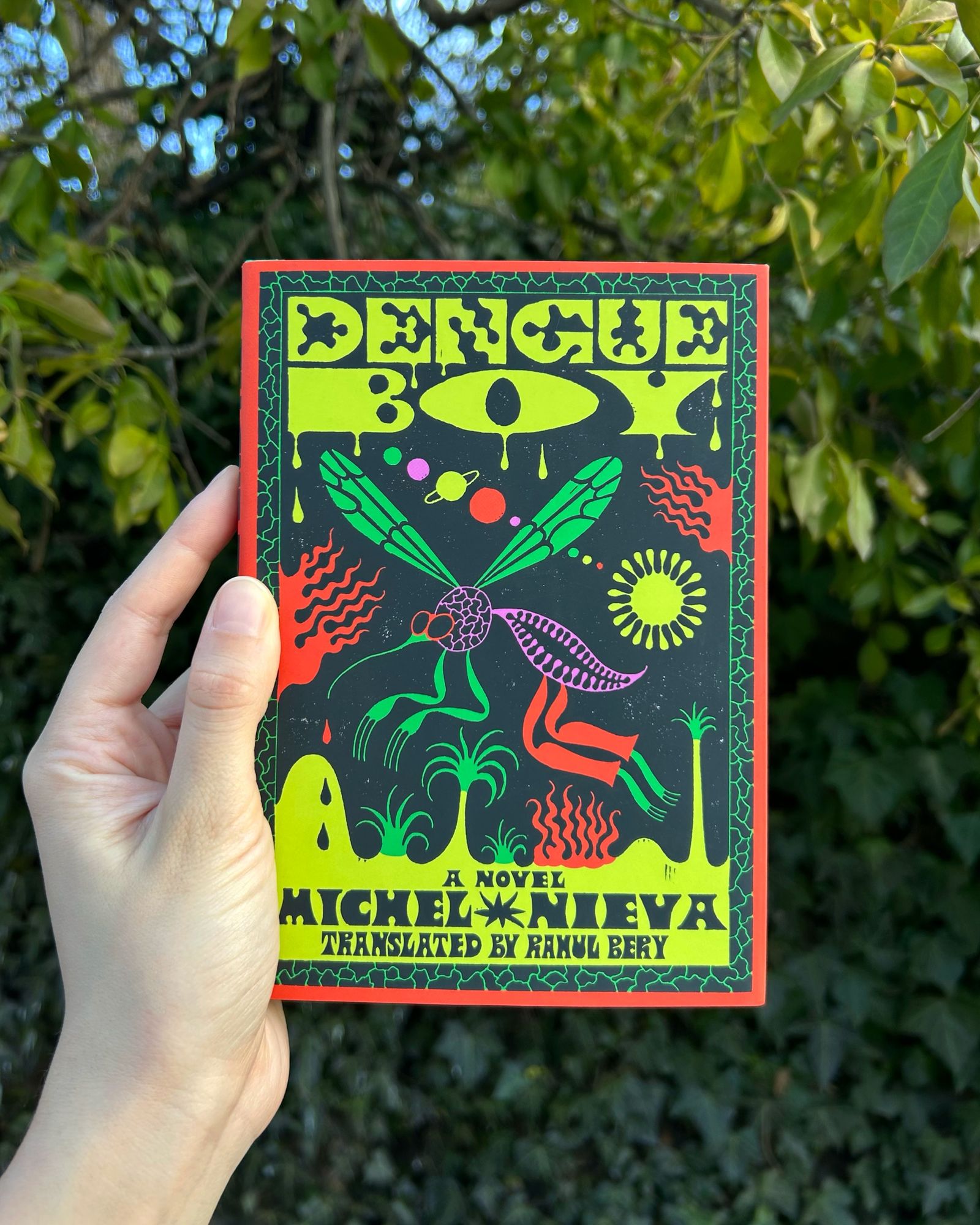 Dengue Boy: A Novel