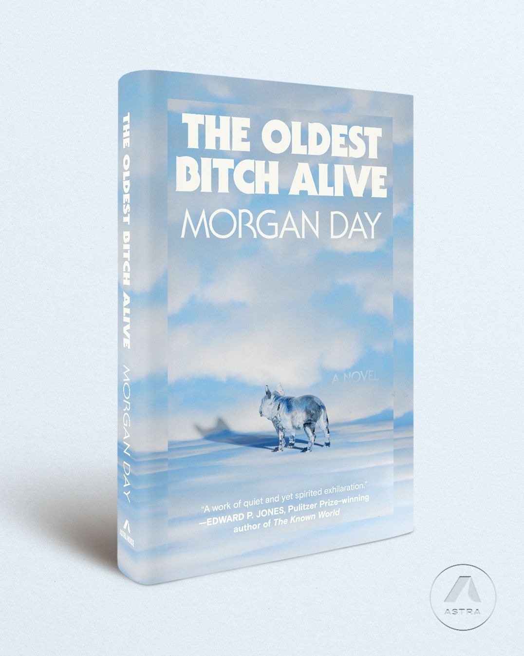 The Oldest Bitch Alive