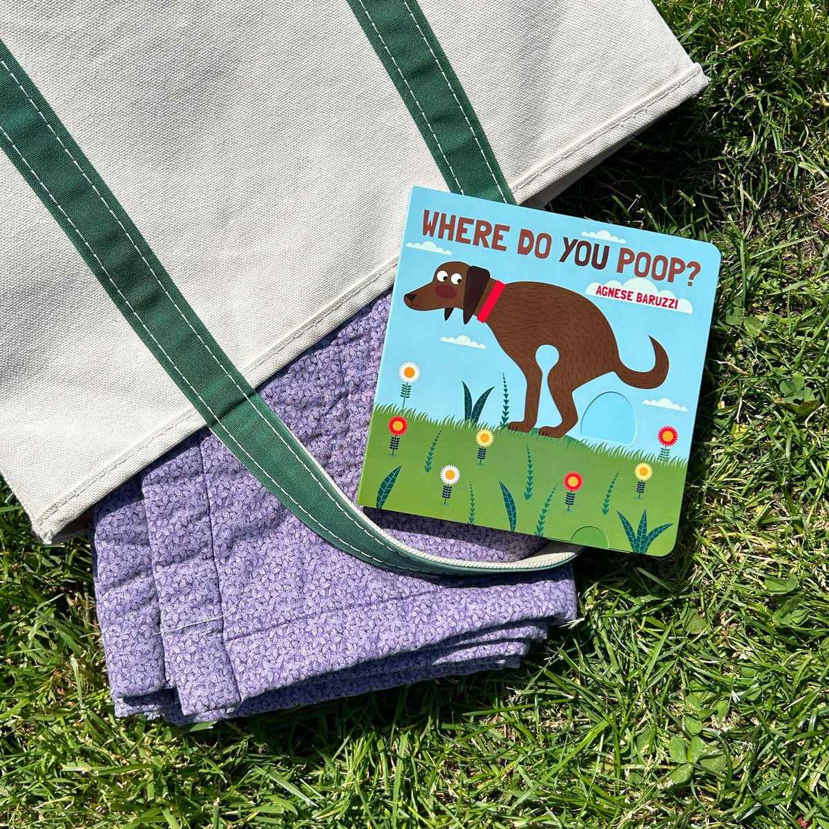 Where Do You Poop? A potty training board book