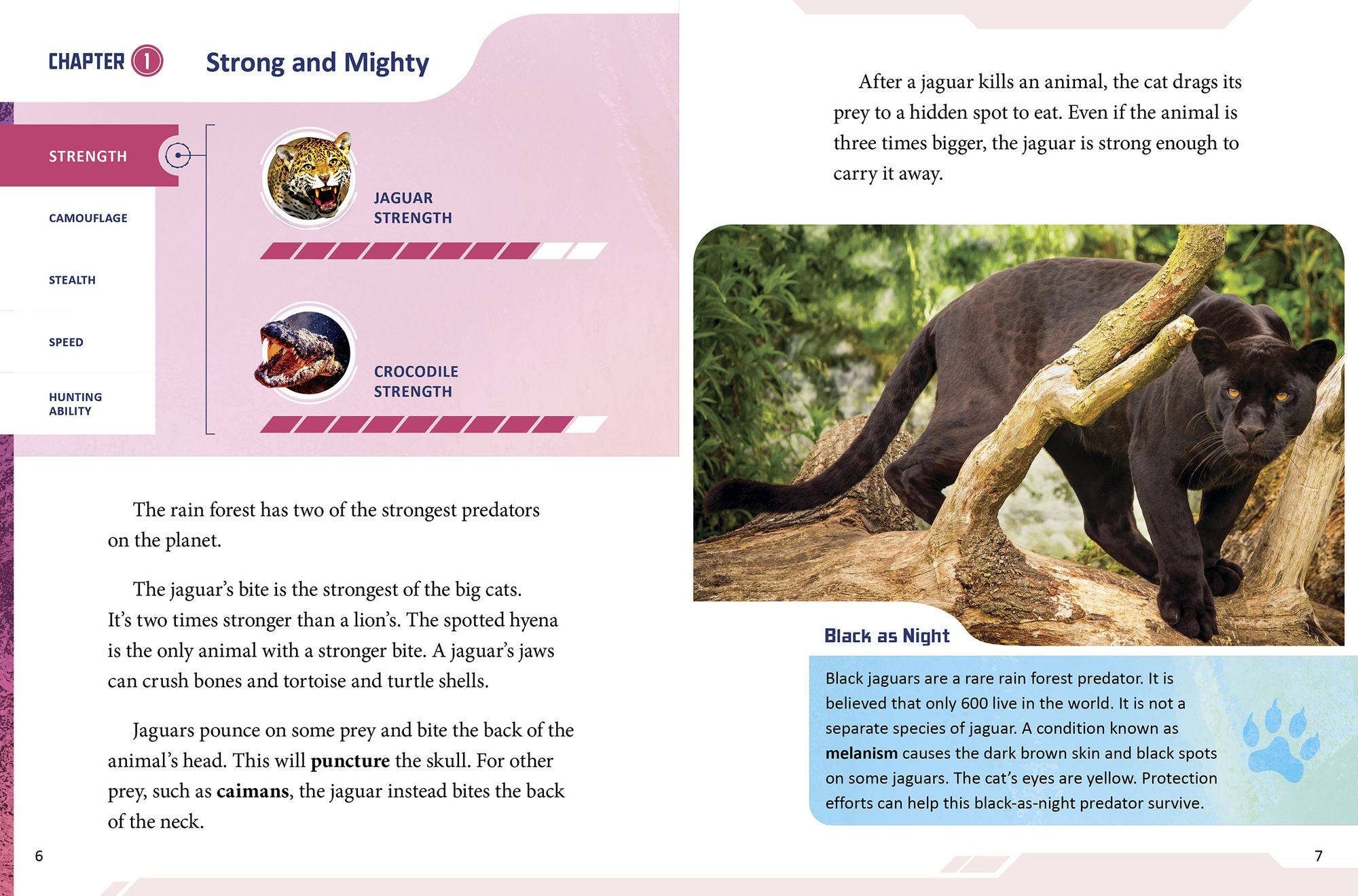 Jaguar vs. Crocodile