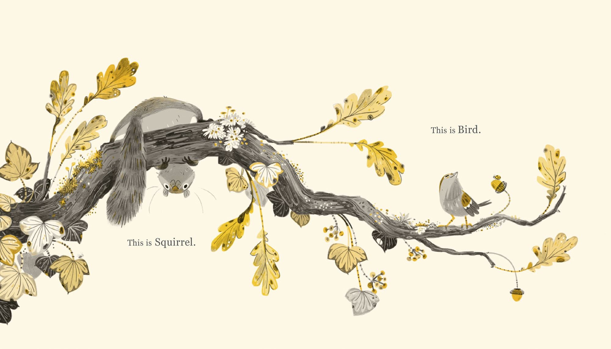 Squirrel and Bird