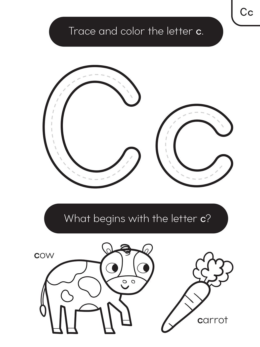 ABC Color and Learn: Letters, counting, shapes, tracing, and more! With tear-out pages!