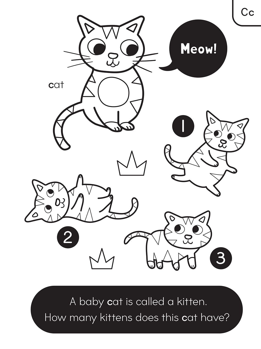 ABC Color and Learn: Letters, counting, shapes, tracing, and more! With tear-out pages!