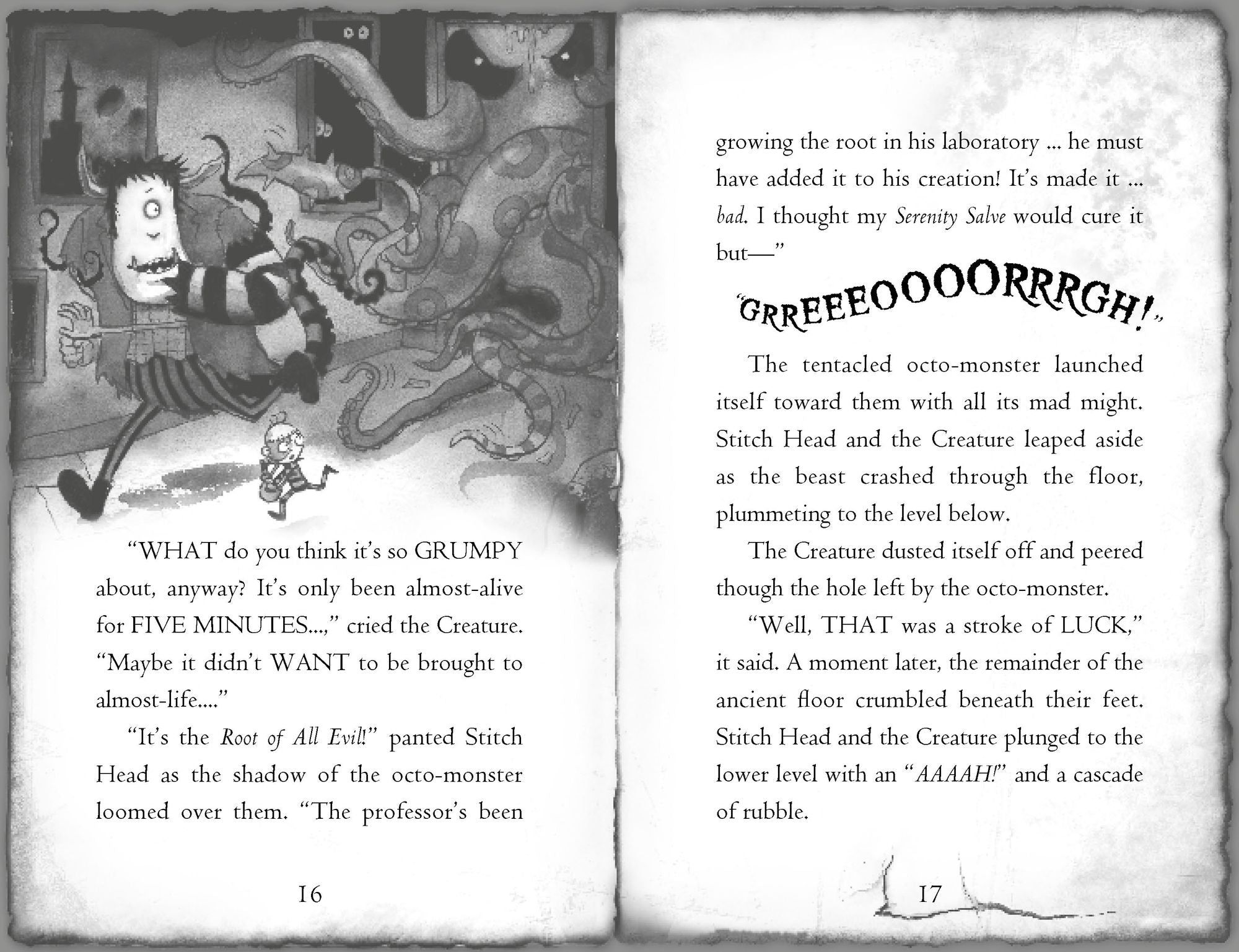 The Pirate's Eye