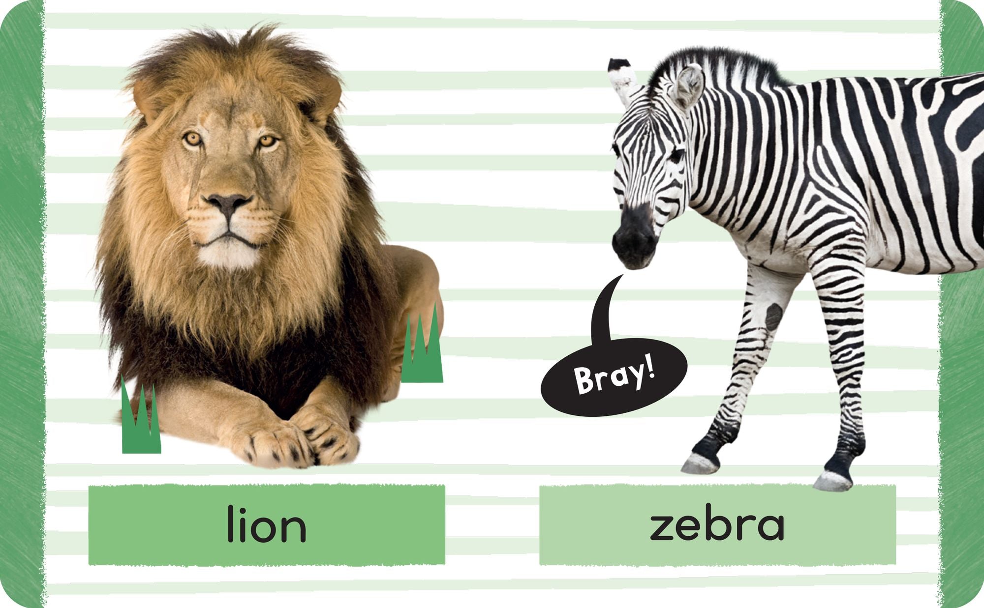Early Learning Library: 10-Book Boxed Set