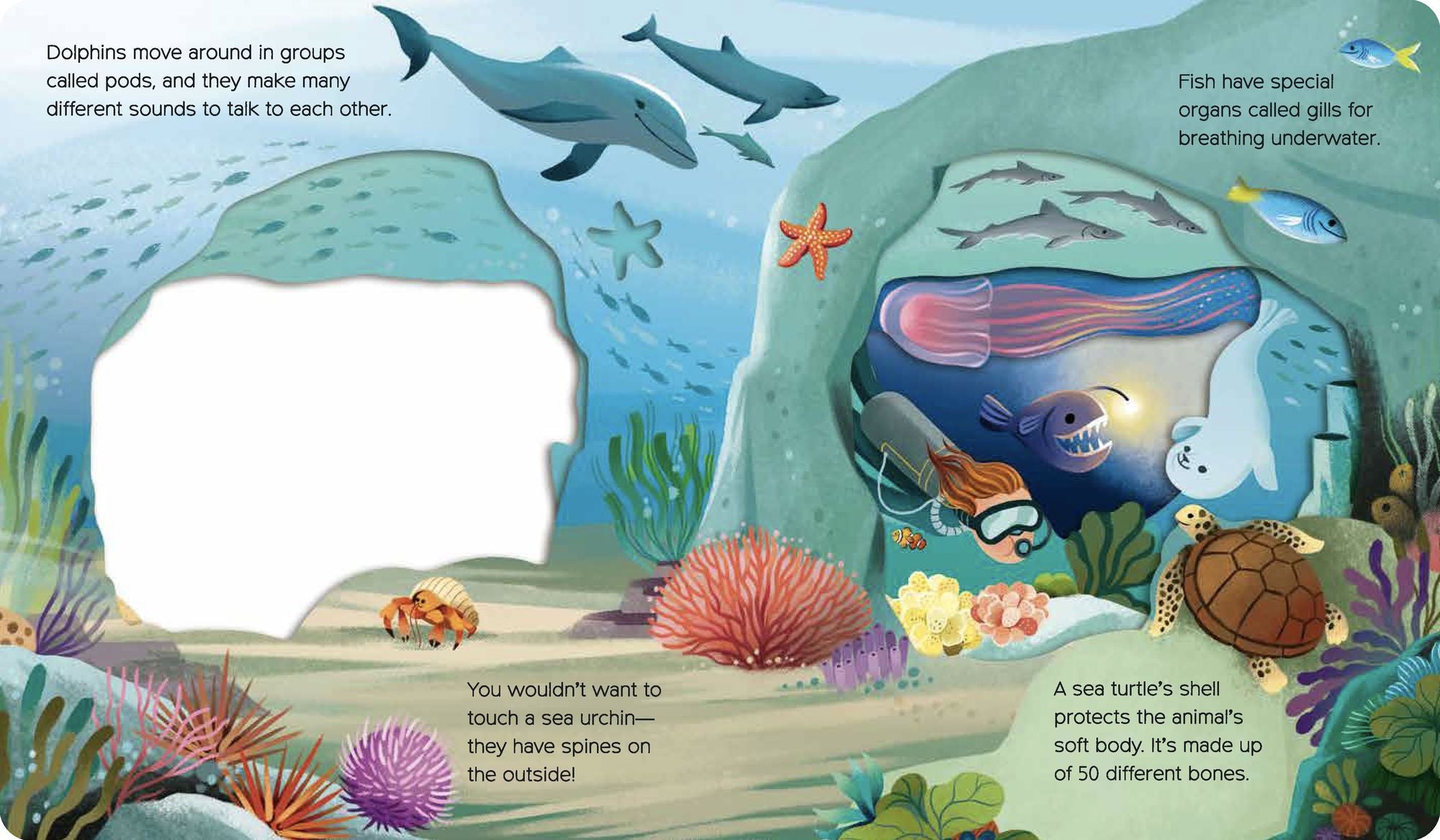What Can You See? Under the Sea: With peek-through pages and fun facts!