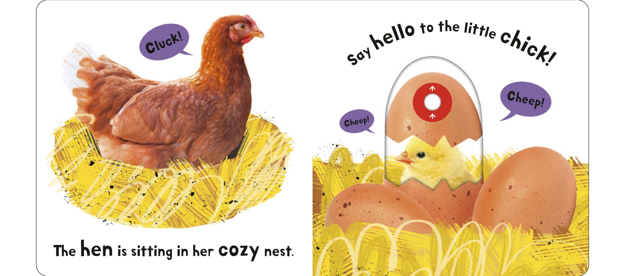 Farm: My First Touch and Explore: Multi-sensory Play!