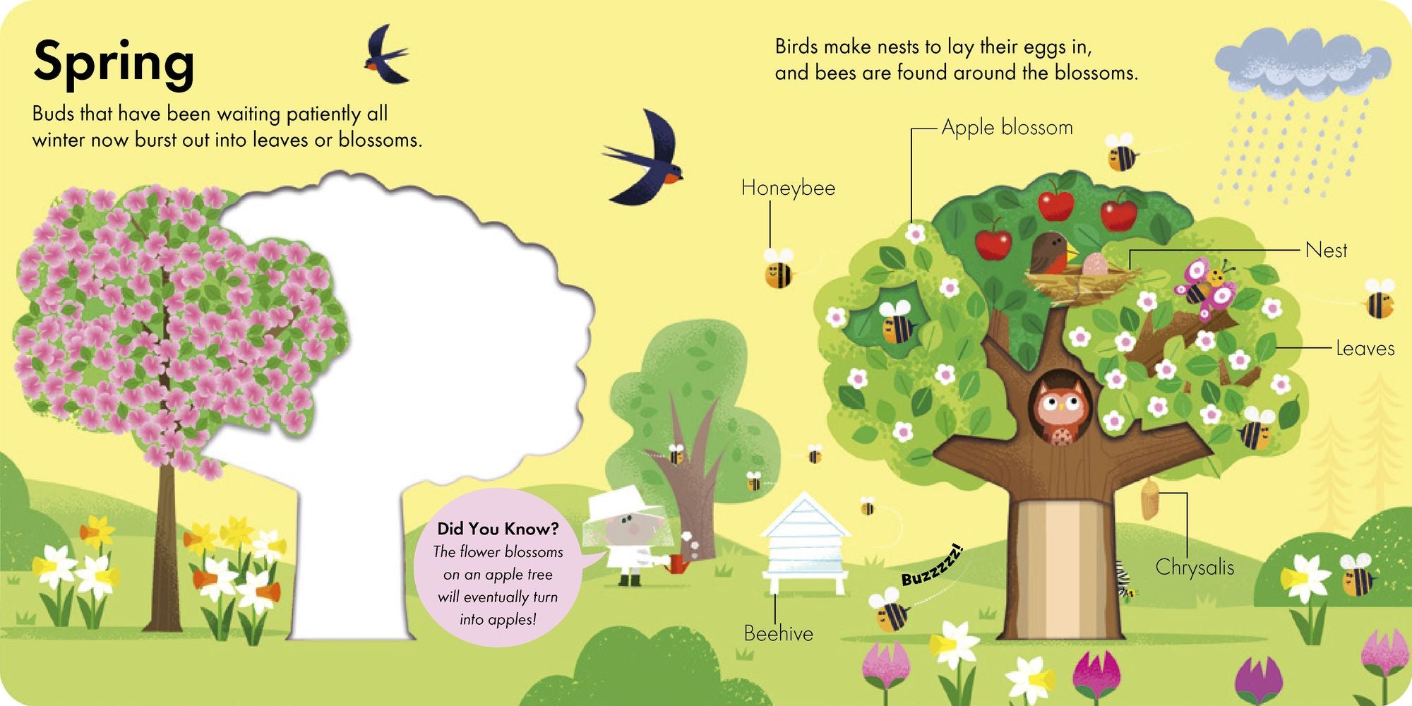 How It Works: Tree
