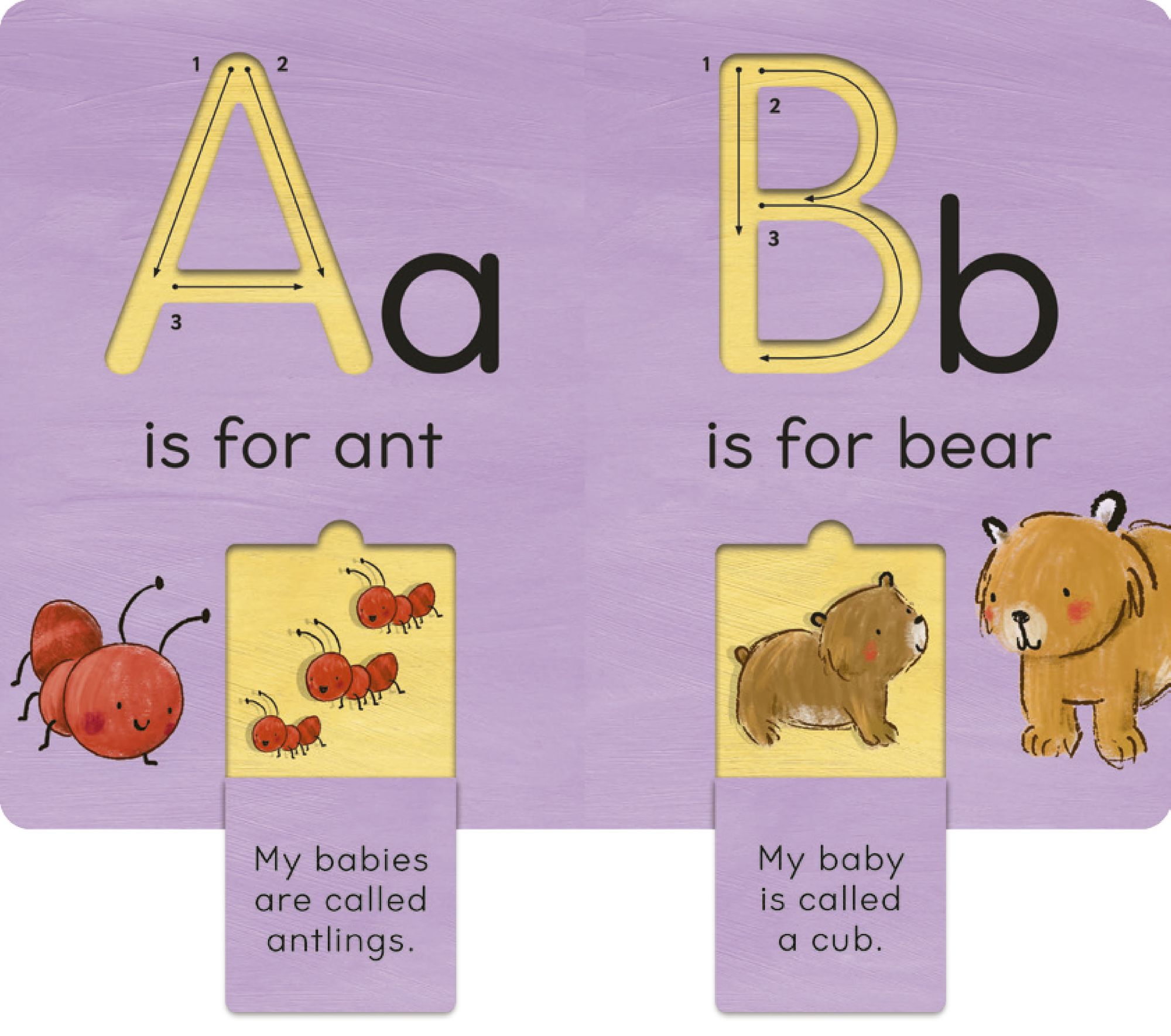 B is for Baby Animals: An interactive alphabet book