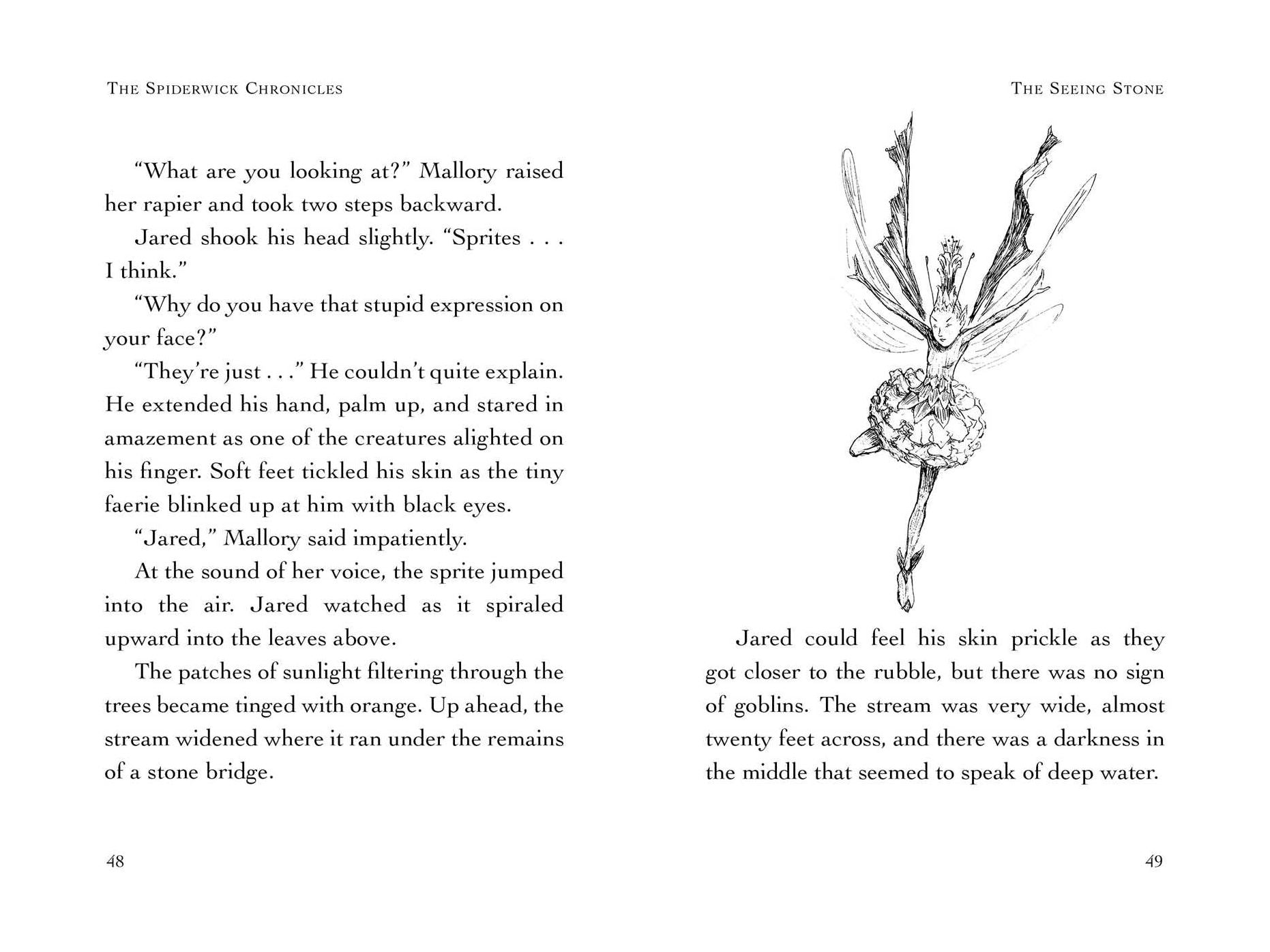 The Seeing Stone (Spiderwick Chronicles Series #2)