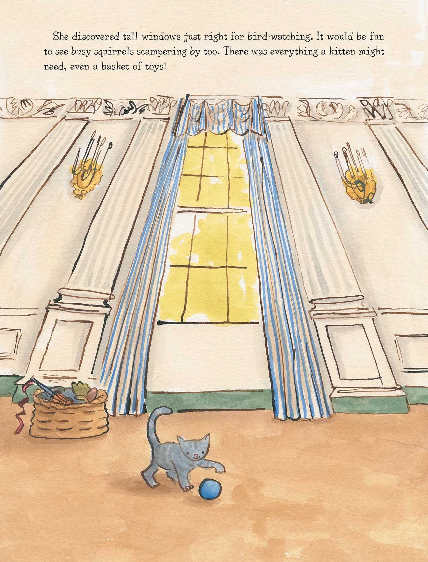 Willow the White House Cat