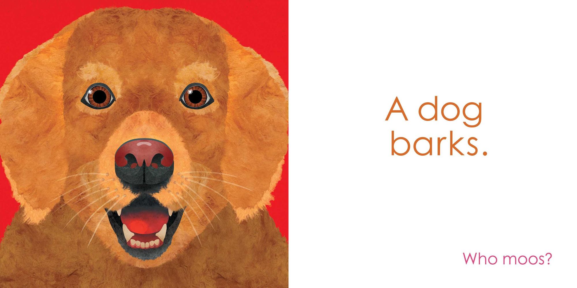 Who Meows?: A Book of Animal Sounds